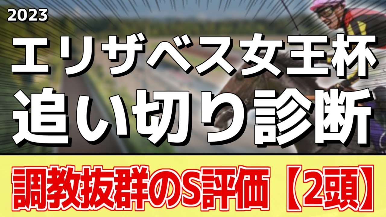 追い切り徹底解説！【エリザベス女王杯2023】ブレイディヴェーグ、ハーパーなどの状態はどうか？調教S評価は2頭！