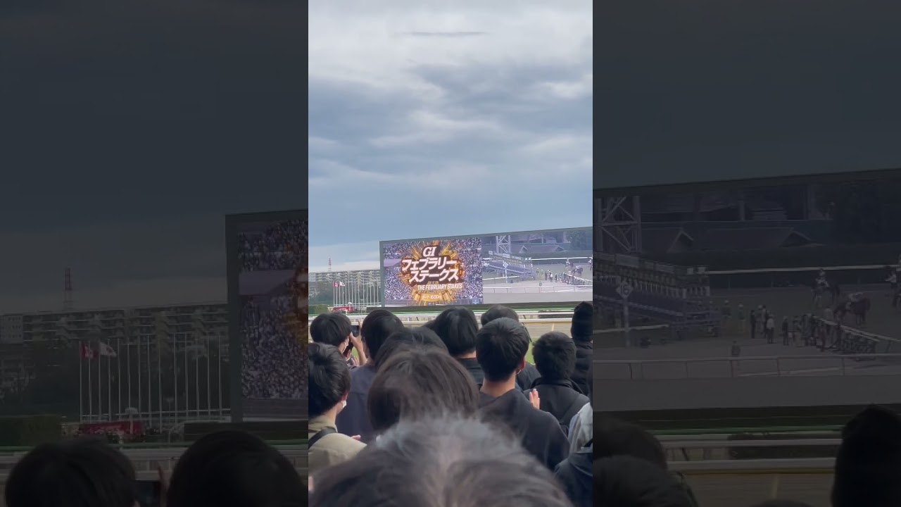 フェブラリーステークス　2023
