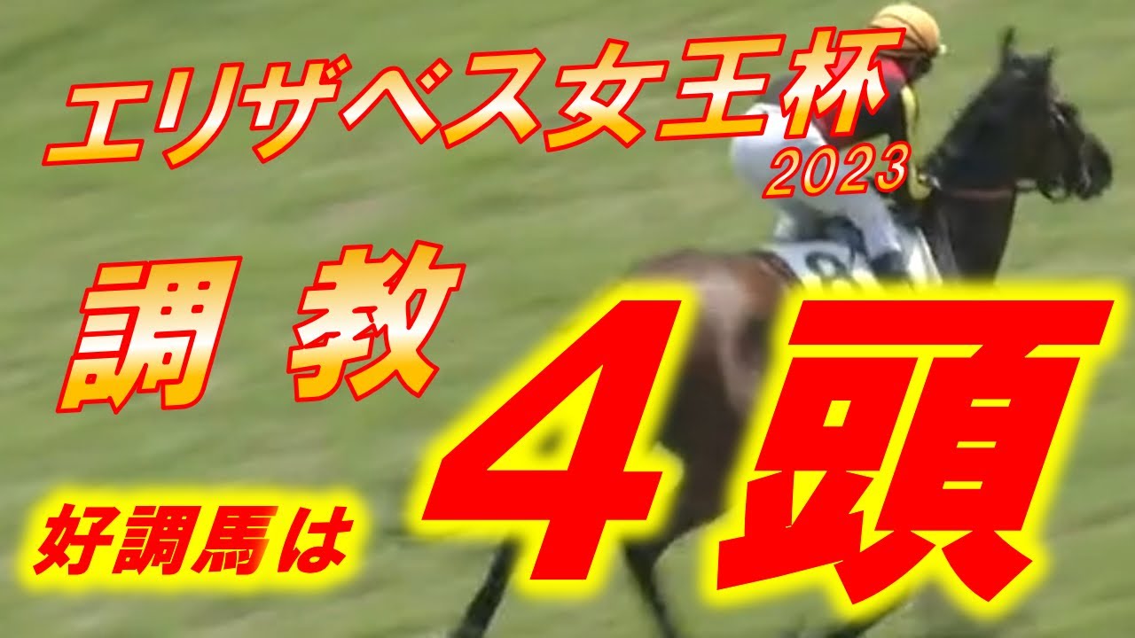 エリザベス女王杯2023　追い切り診断‼　好調馬多数も、初GⅠ制覇に挑むあの馬に期待‼　元馬術選手のコラム by アラシ
