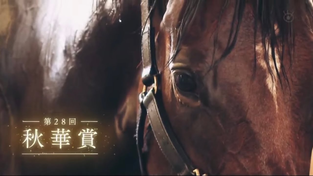 2023年｜第28回 秋華賞・GⅠ｜リバティアイランド
