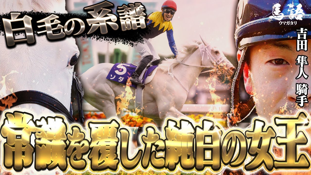 【競馬】常識を覆した純白の女王「ソダシの物語」