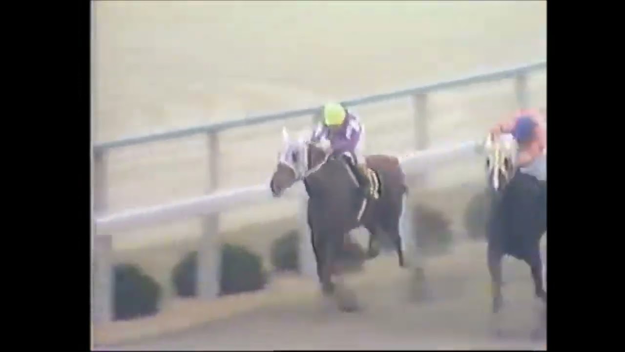 【アローの妖精】第３６回　桜花賞　テイタニヤ　牝３　55　嶋田功　1976.4.11　出走馬：クインリマンド、キミノダービー、タイシオリ、ベロナスポート、ヤマカツクイン他　　　実況：杉本清