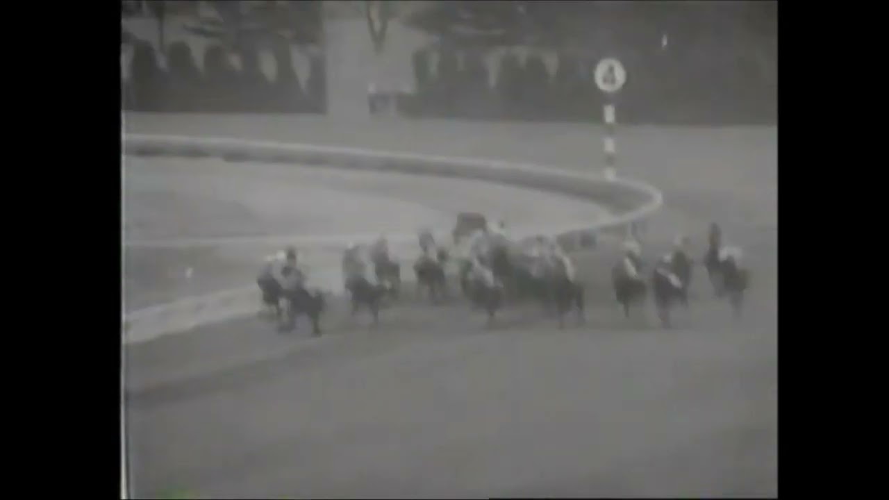 第２８回　桜花賞　コウユウ　牝３　55　清水出美　1968.4.14　　出走馬：ニツトウヤヨイ、マルシゲ、トーホウクイン、ルピナス、ヒロダイコク、バアルドウ、パールムーン、フアインローズ他