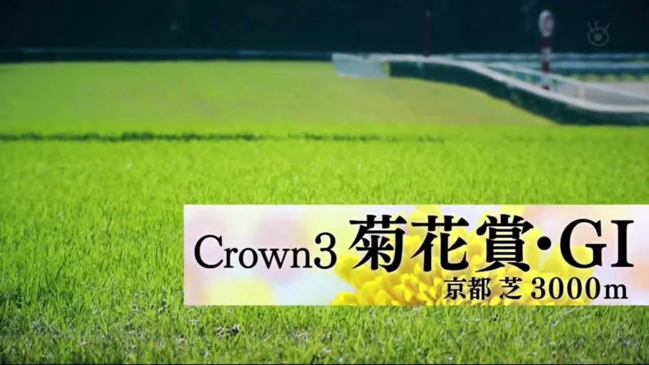 2023年｜第84回 菊花賞・GⅠ｜ドゥレッツァ