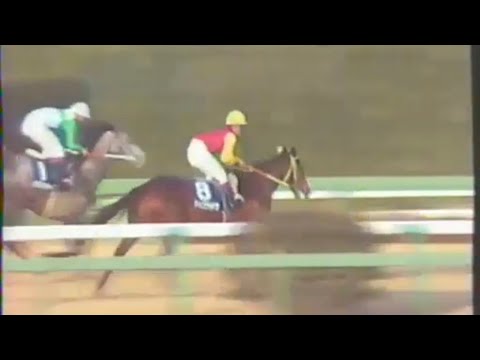 1991年 有馬記念 ダイユウサク 熊沢重文