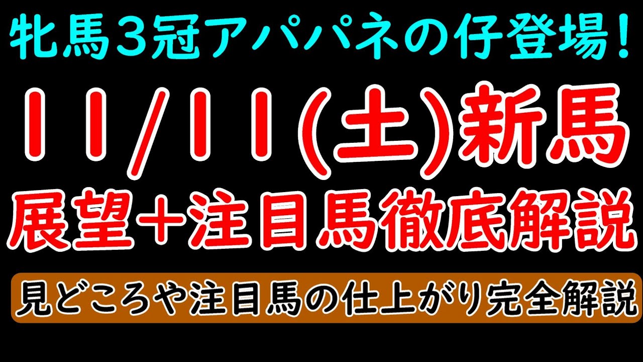 11/11(土)新馬戦展望+注目馬解説 アパパネの仔バードウォッチャーや注目馬アルセナール登場！【POG23-24】