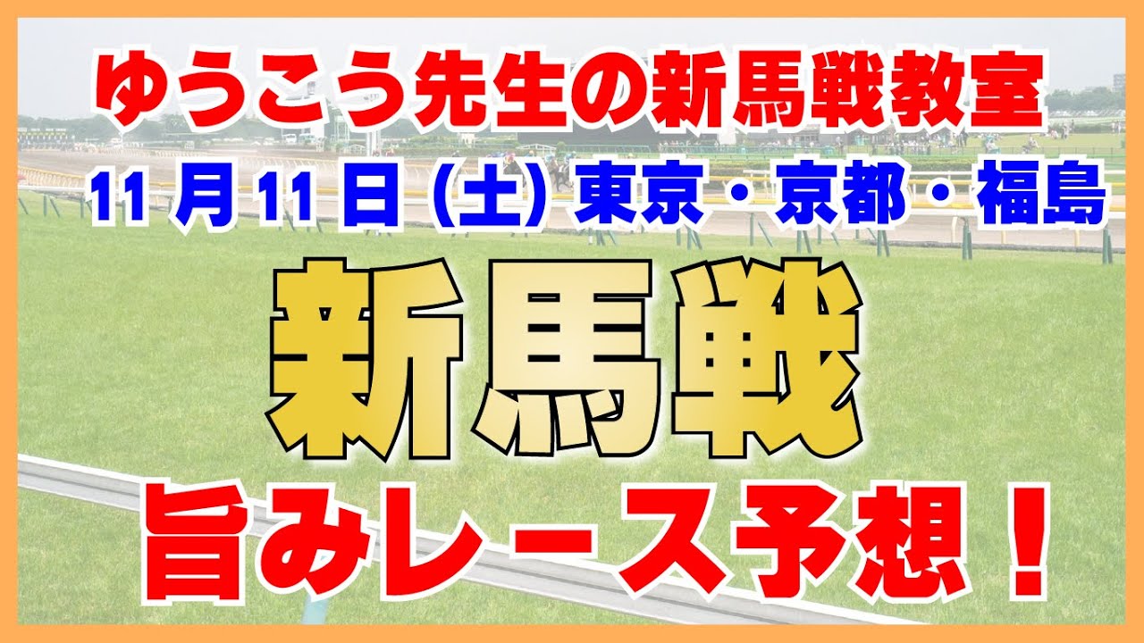 【11月11日(土)新馬戦予想】本命・対抗・評価を無料公開！コツは調教欄を見る！