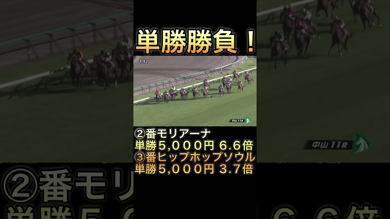 【競馬】馬券勝負！単勝10000円買ってみた！