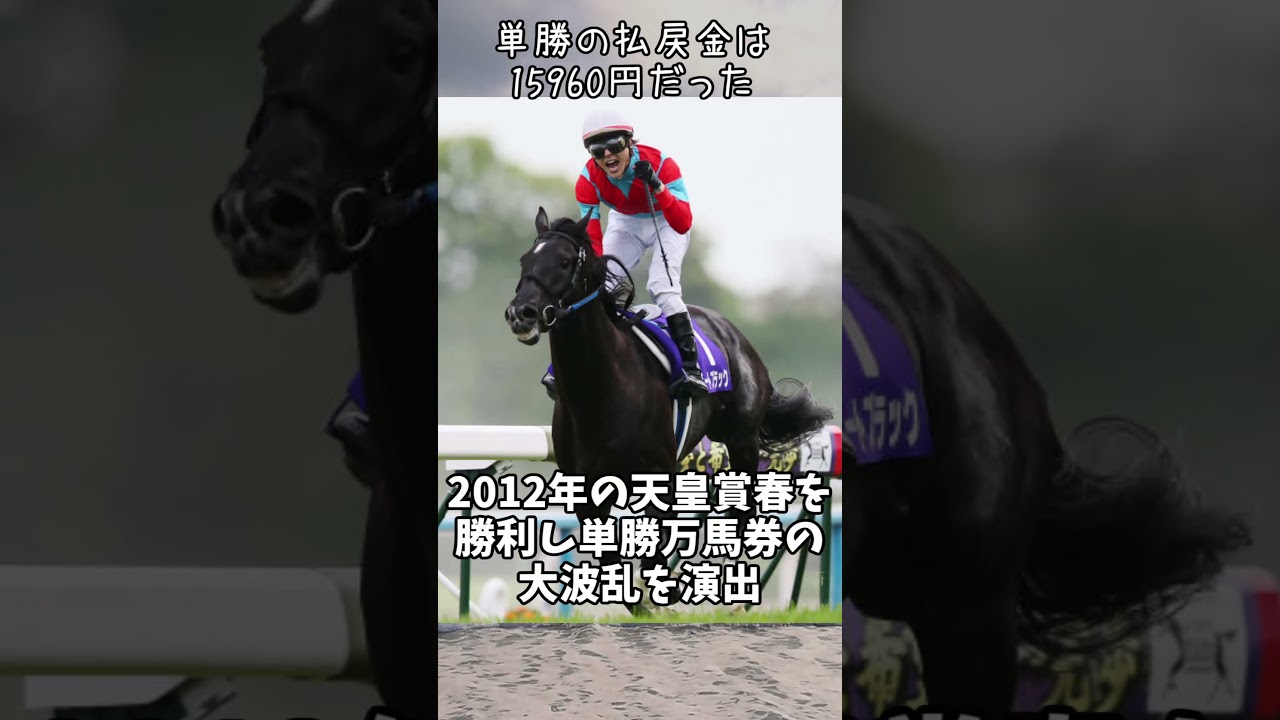 引退後種牡馬になれなかったGⅠ馬＃Shorts