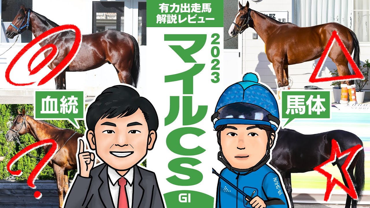 【マイルCS 2023】これは”度肝を抜かれた”！境和樹も絶賛、死角なしのイチオシ馬とは！？馬体vs血統 有力出走馬解説レビュー【競馬 予想】