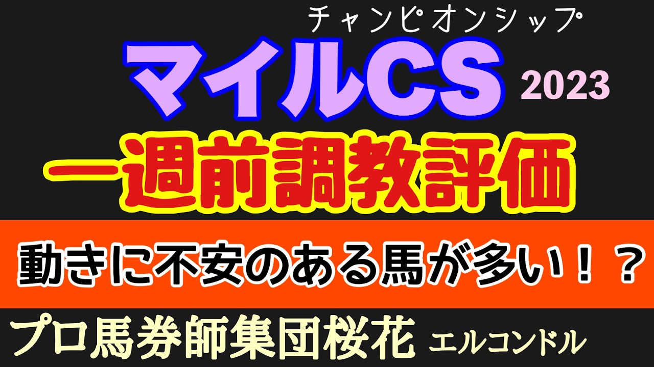 プロ馬券師集団桜花のエルコンドル氏のマイルチャンピオンシップ2023一週前調教評価！！秋のマイル王を決める一戦の各馬の一週前の状態は不安が残る馬が多い？！レースは荒れる可能性も！