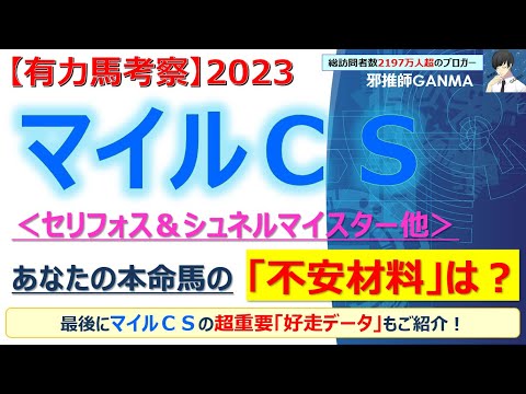 マイルチャンピオンシップ2023 有力馬考察】セリフォス＆シュネルマイスター他 人気馬5頭を徹底考察！
