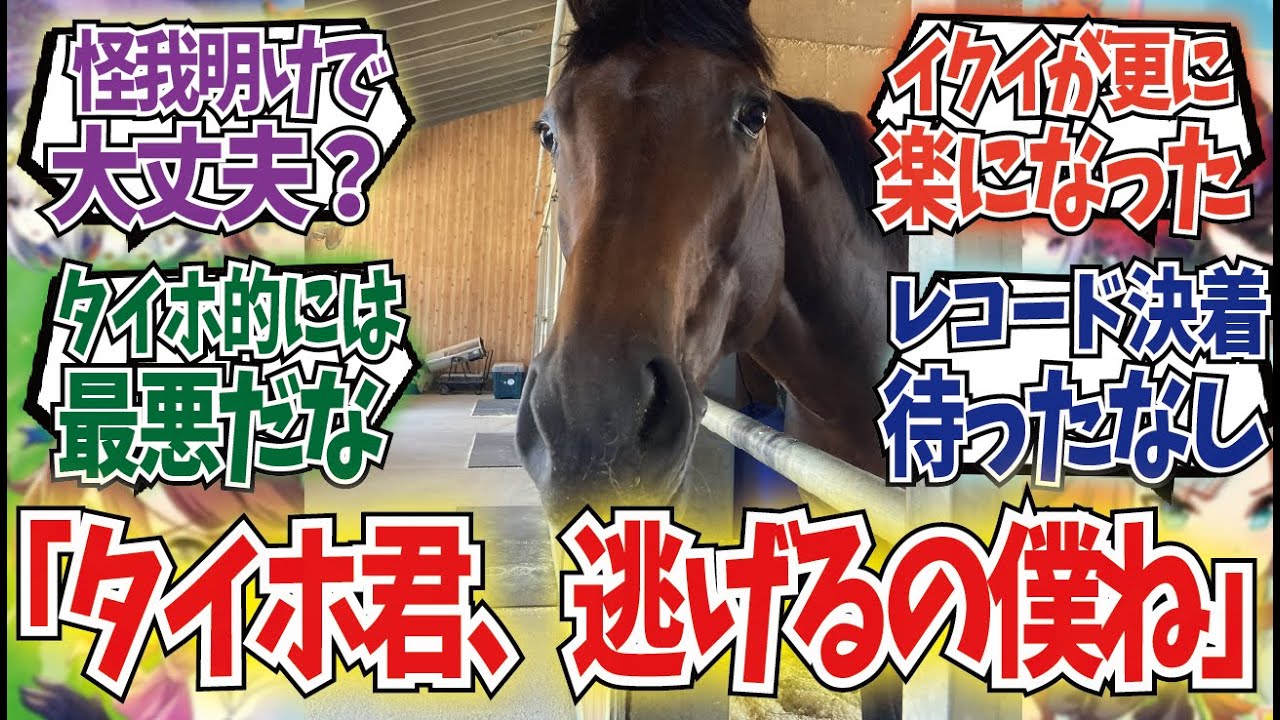 「パンサラッサ君、ジャパンカップ本当に出るの？」に対するみんなの反応集