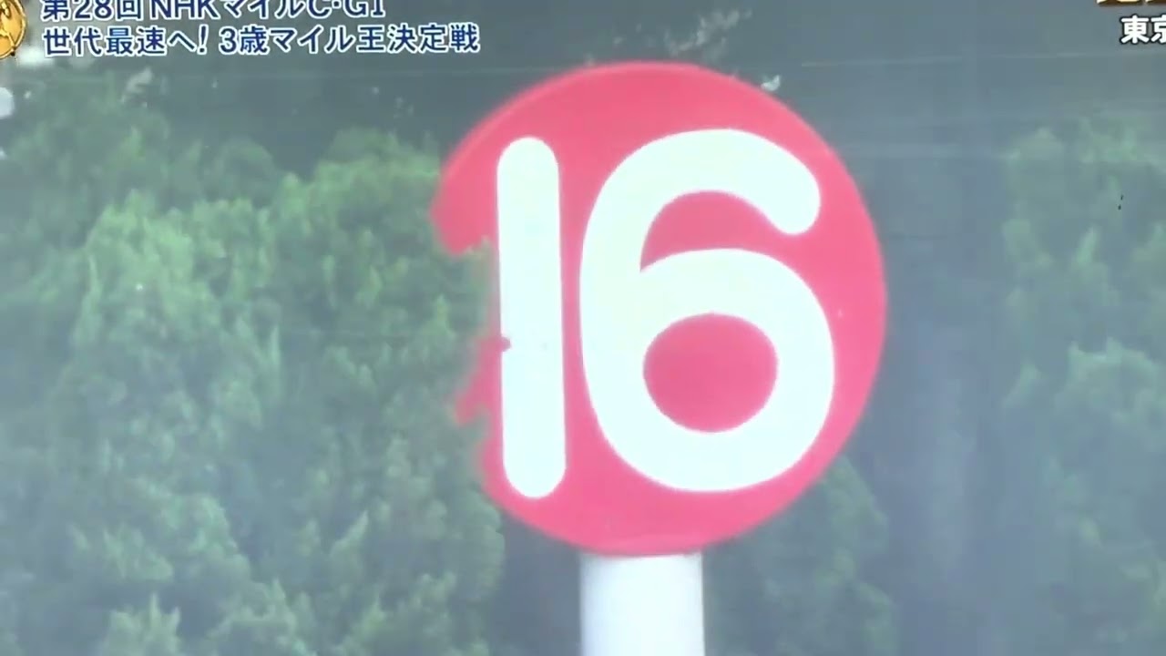 2023年 NHKマイルカップ ファンファーレ🎶 通常ver.