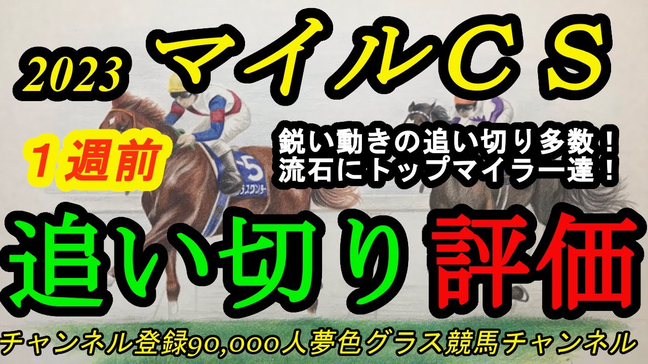 【1週前追い切り評価】2023マイルチャンピオンシップ！マイラー達の目標レースだけあって、各馬流石の動きで！