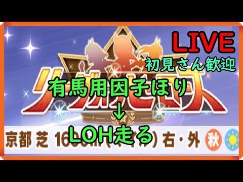 【ウマ娘】有馬記念準備⓵　有馬因子周回⇒LOHはしる【初見さん、コメント歓迎です】