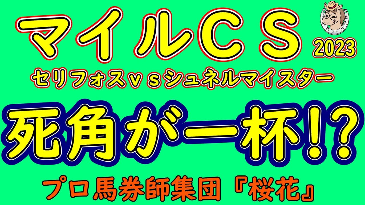 マイルチャンピオンシップ2023人気馬の死角！上位人気３頭のウィークポイントを確認しつつ京都競馬場で行われるマイルチャンピオンシップに合う馬は？