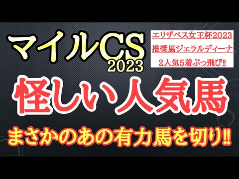 【マイルチャンピオンシップ2023】セリフォス・シュネルマイスター・ソウルラッシュの中で4着以下になりそうなのはどの馬だ！？