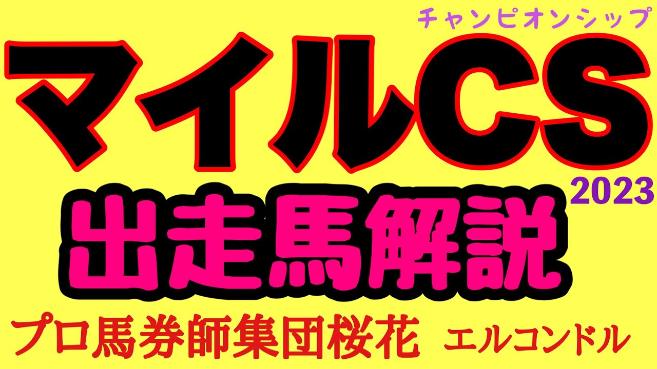 プロ馬券師集団桜花のエルコンドル氏のマイルチャンピオンシップ2023出走馬解説！！秋のマイル王はどの馬に！年齢的にG1制覇がラストチャンスの馬も多く今年のレースは見どころが多いぞ！