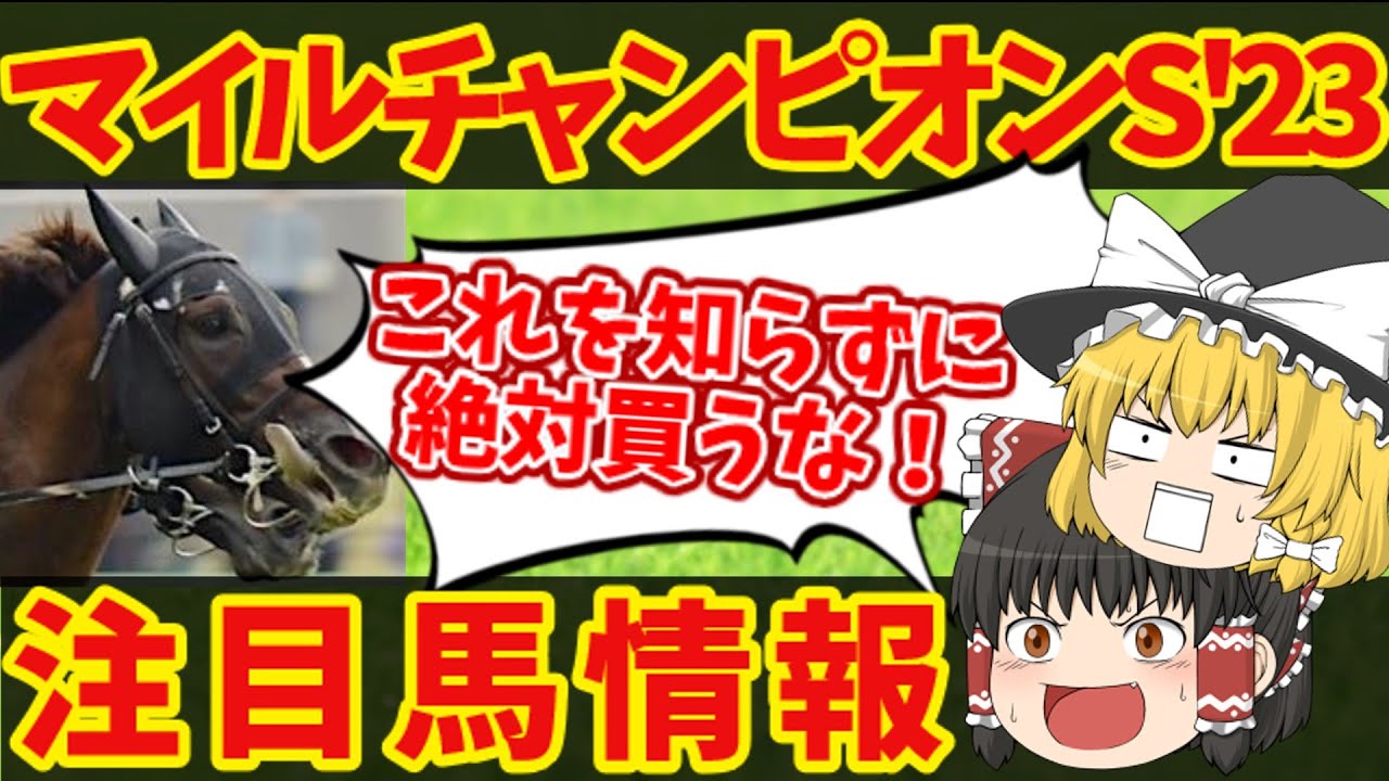 【マイルチャンピオンシップ】ルメール連勝は止められない！？知らないと損をする注目馬の情報！