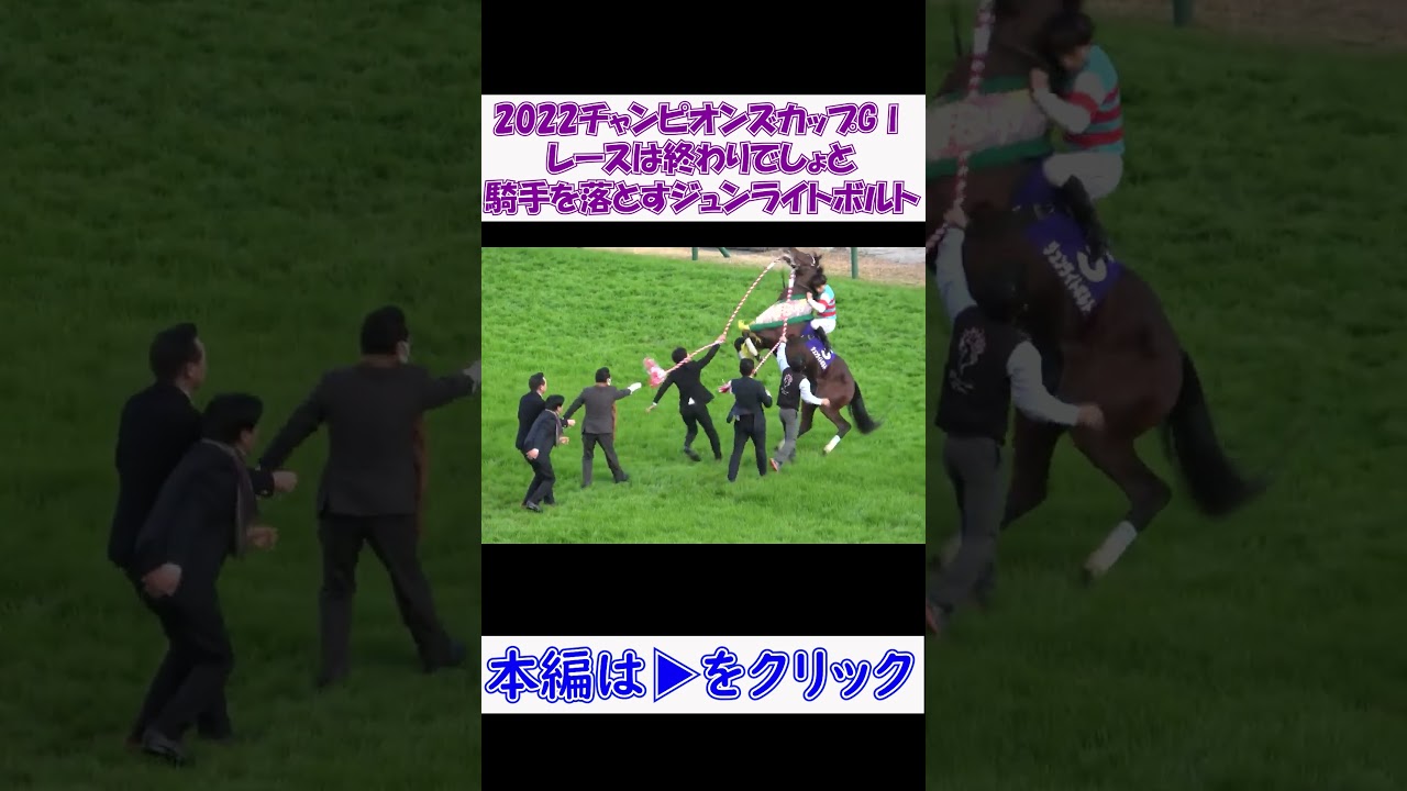 【2022チャンピオンズカップGⅠ】レースは終わったでしょと騎手を落とすジュンライトボルト