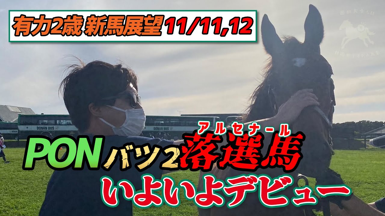 【一口馬主デビュー馬紹介11/11&12】PONがバツ2でも買えなかったアルセナール、こまちのルージュスティリア妹など話題馬が続々デビュー！【節約大全】vol.1172