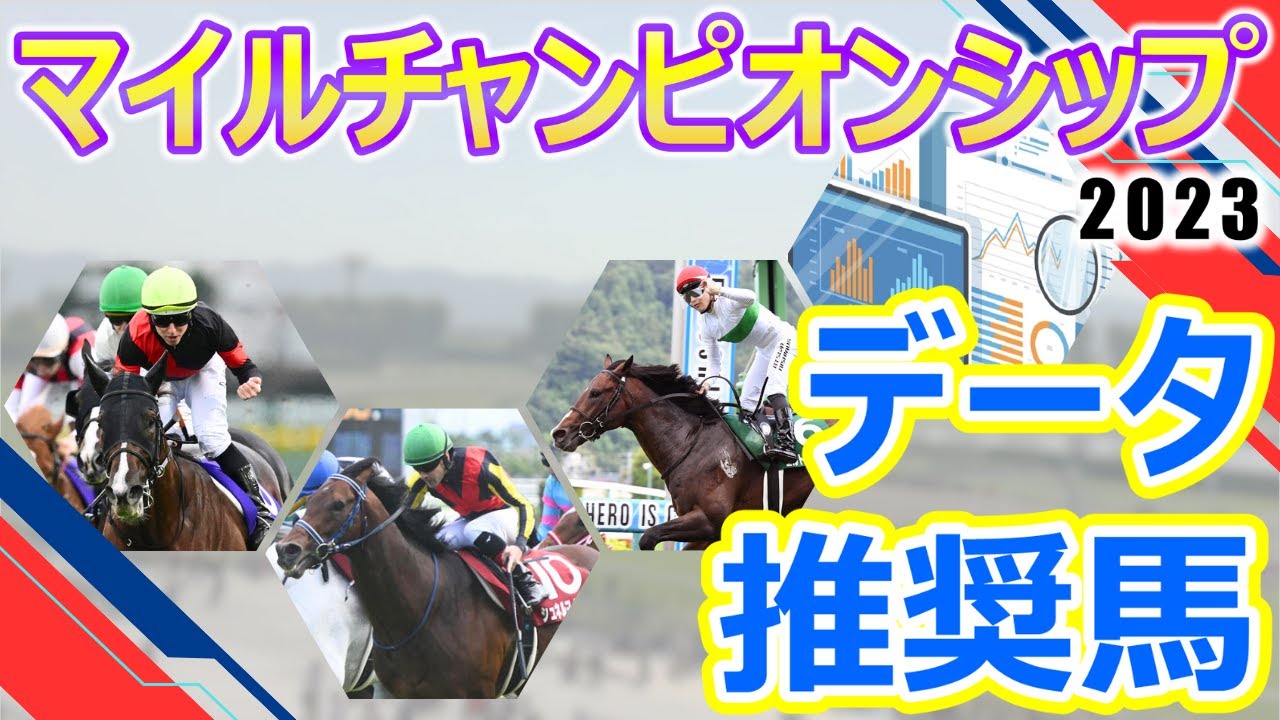 【マイルチャンピオンシップ2023】データ推奨馬　セリフォスは川田騎手とコンビ復活で連覇を目指す‼シュネルマイスター3歳時以来のG1制覇なるか⁉秋のマイル王決定戦に各世代を代表する豪華メンバー集結‼︎