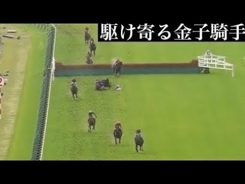 落馬したシングンマイケルにすぐに駆け寄る生涯の相棒金子騎手　立ち上がれない