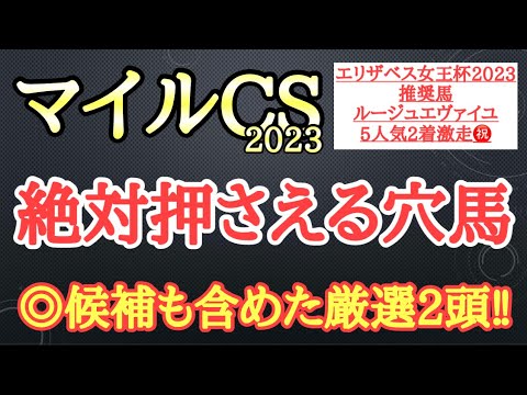 【マイルチャンピオンシップ2023】穴馬予想！想定される展開や馬場で有力馬たちにアッと言わせる激走が見込めそうな厳選2頭を公開！