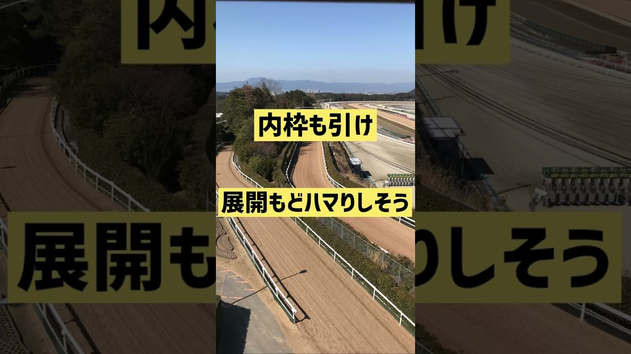 【ヴィクトリアマイル2023】2023ヴィクトリアマイルおすすめ穴馬#ヴィクトリアマイル2023 #穴馬#競馬