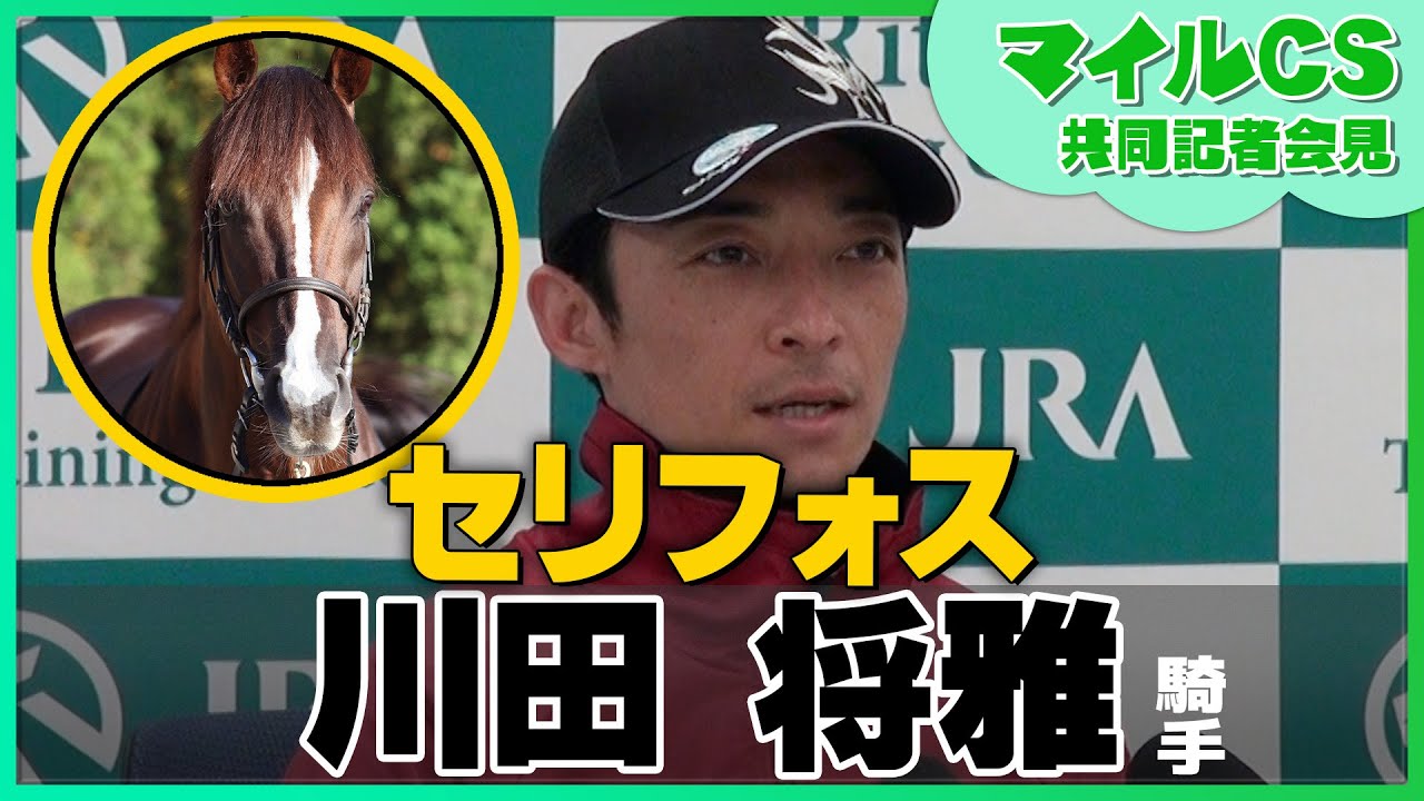 【2023年 マイルＣＳ】セリフォス・川田将雅騎手＜JRA共同会見＞