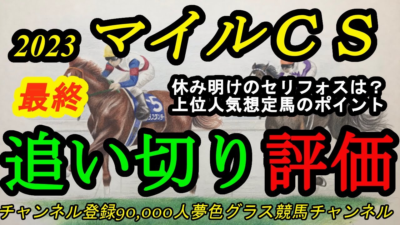 【最終追い切り評価】2023マイルチャンピオンシップ全頭！休み明けセリフォスの仕上がりは？上位人気想定馬のポイントは！