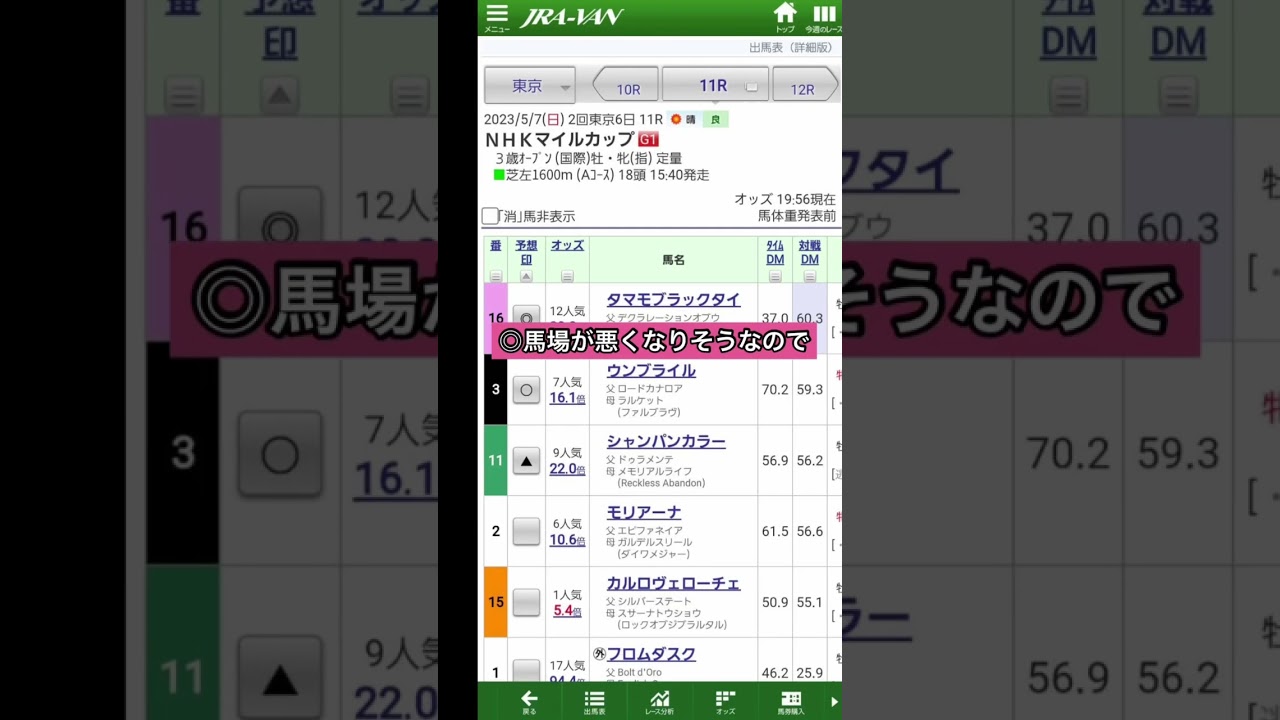 明日はこれだ〜！☔️#nhkマイルカップ #競馬予想 #競馬 全頭診断動画載せてます^_^