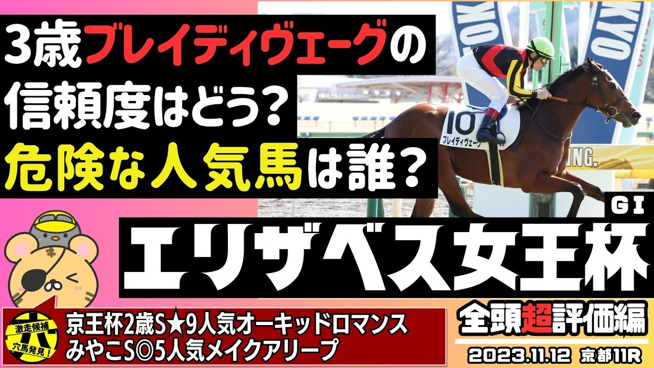 【エリザベス女王杯攻略②】狙いたい馬ランキング公開！全頭評価で危険な人気馬、強く狙う穴馬を考えてみます【競馬予想2023】
