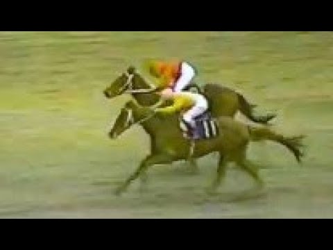 第３０回　皐月賞　タニノムーティエ　牡３　57　安田伊佐夫　1970.4.12　　出走馬：アローエクスプレス、プランジャー、タニノモスボロー、メジロムサシ、アイアンモア、ハイプリンス、トレンタム他