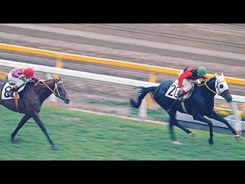 第４３回　東京優駿（日本ダービー）　クライムカイザー　牡３　57　加賀武見　1976.5.30　　出走馬：トウショウボーイ、サンダイモン、フェアスポート、ムーンライトミスト、テンポイント他