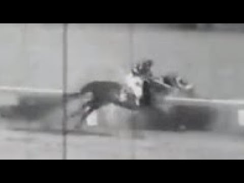 第２４回　東京優駿（日本ダービー）　ヒカルメイジ　牡３　57　蛯名武五郎　1657.5.26　出走馬：カズヨシ、ギンヨク、ヨドノカゼ、タカイズミ、マサタカラ、ライジングウイナー、セルローズ、ヒロフジ他