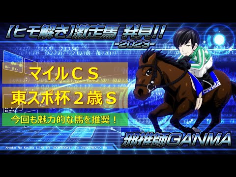 ＜マイルチャンピオンシップ＆東京スポーツ杯2歳ステークス＞【ヒモ解き】激走馬 発見！2023