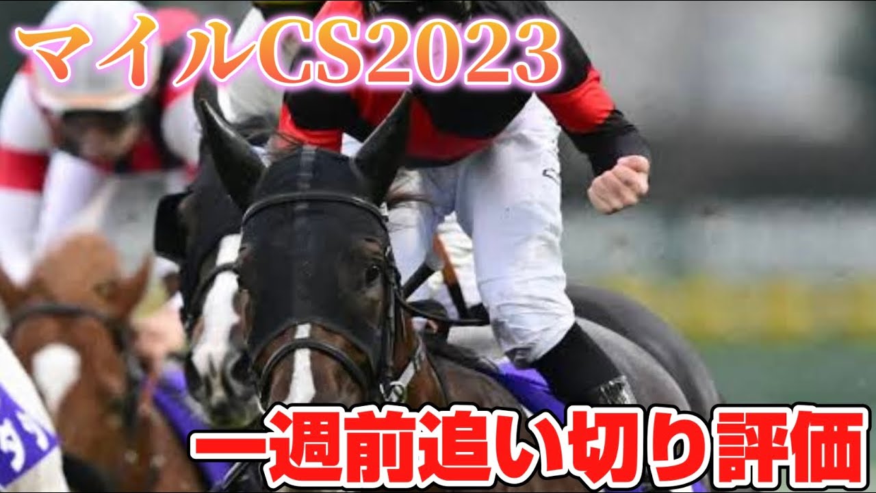 マイルCS2023 一週前追い切り評価
