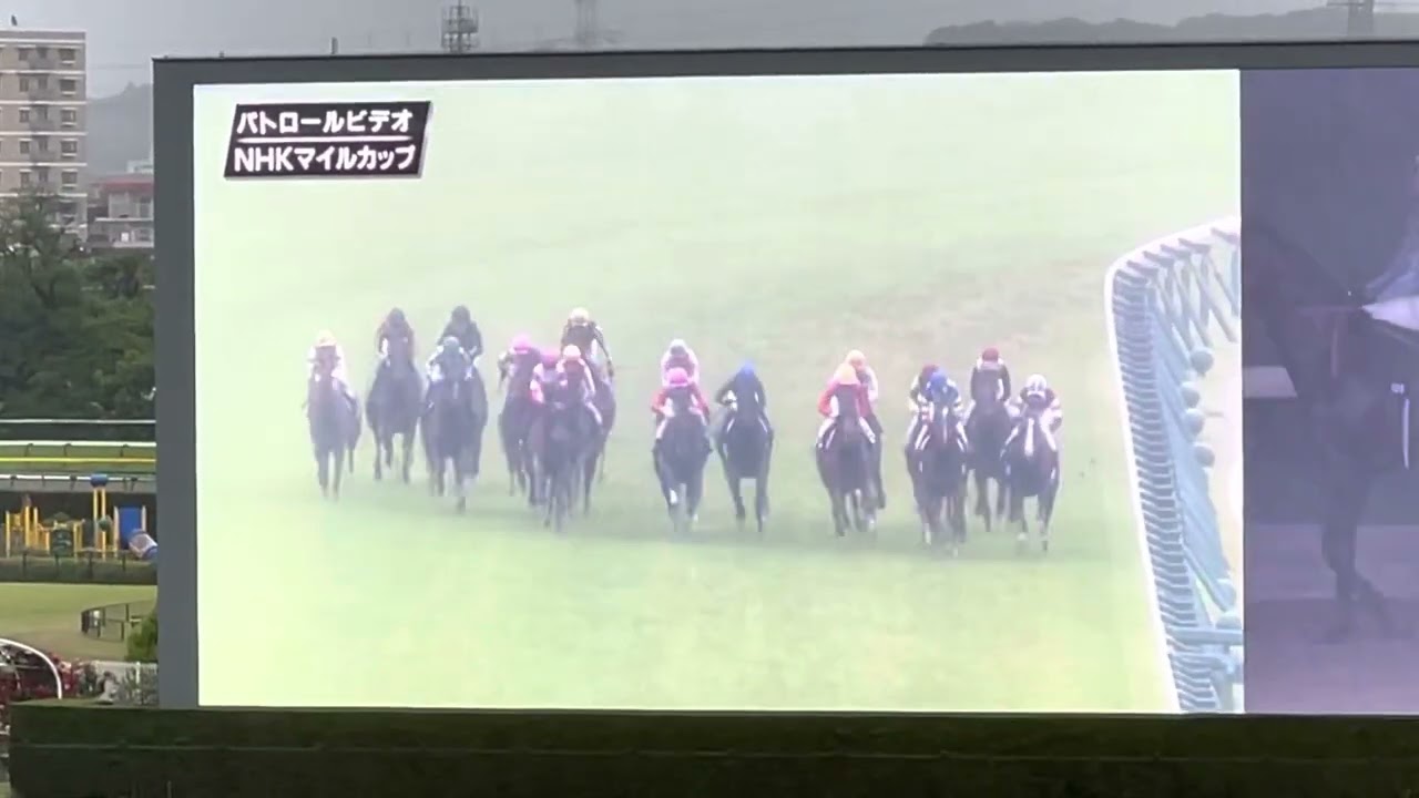 NHKマイルカップ 2023 パトロールフィルム