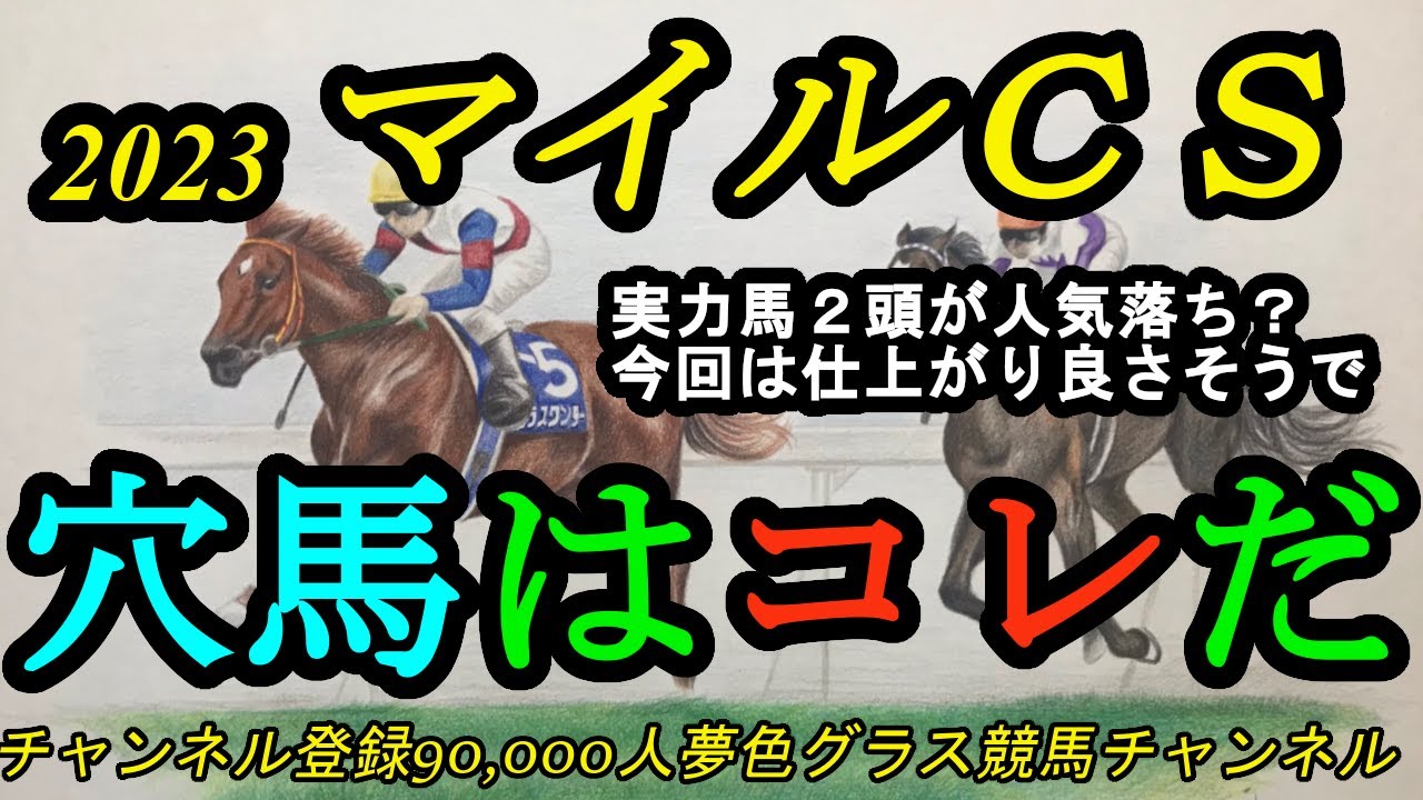 【穴馬はコレだ】2023マイルチャンピオンシップ！この2頭の実力馬が人気落ち！？展開が流れれば！