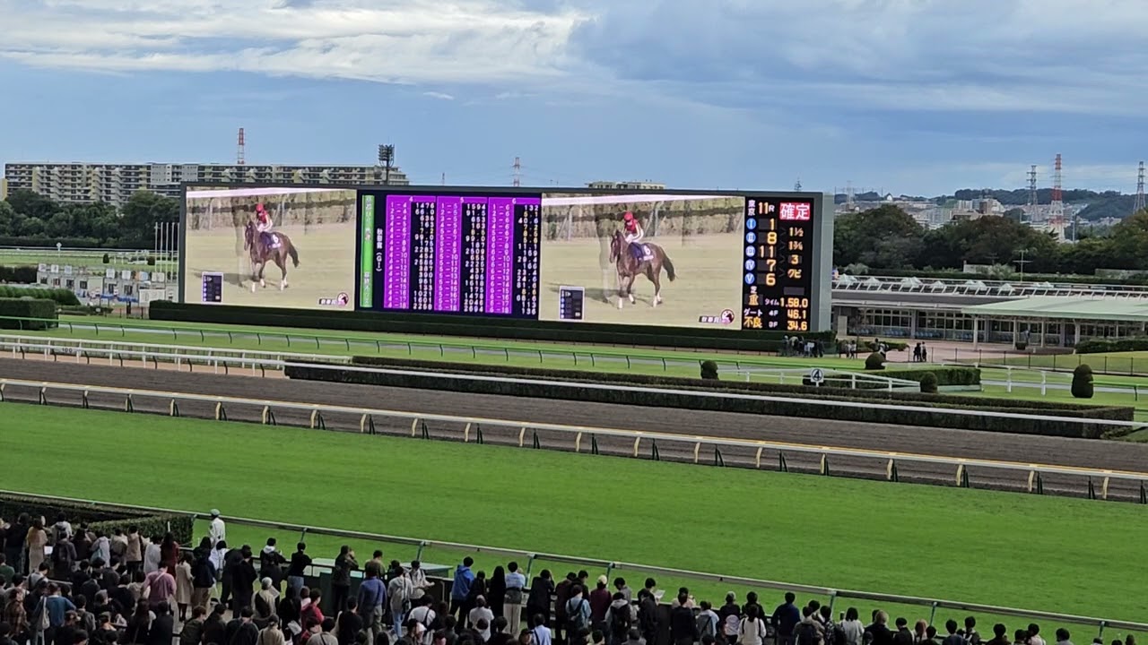 第25回秋華賞2023（東京競馬場の様子）※瑠星叫んでいるにつき音量注意