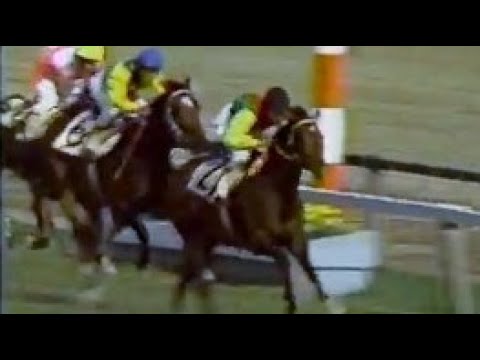 第３４回　皐月賞　キタノカチドキ　牡３　57　武邦彦　1974.5.3　　出走馬：コーネルランサー、ミホランザン、フェアーリュウ、ニシキエース、カネオオエ、スリーヨーク、ウエスタンダッシュ他