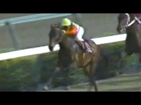 第４５回　皐月賞 （ＧⅠ）　ミホシンザン　牡３　57　柴田政人　1985.4.14　　出走馬：サクラサニーオー、ブラックスキー、スダホーク、ビンゴチムール、クシロキング、ダイゴトツゲキ他