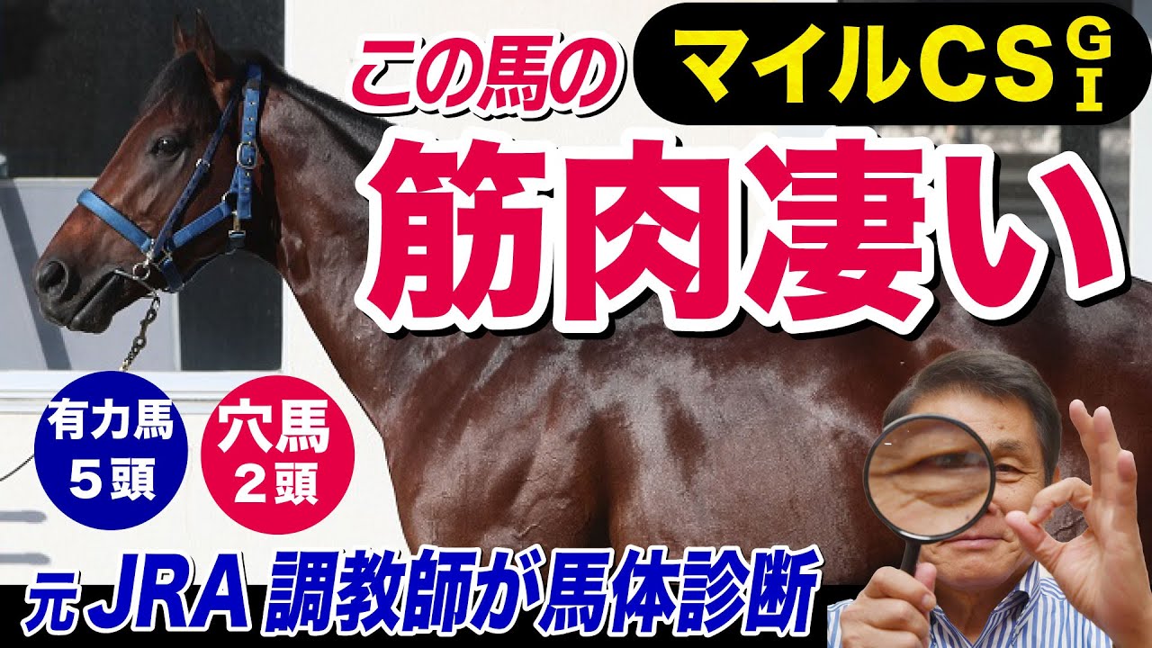【マイルＣＳ2023】中村均元調教師が馬体診断　すごい筋肉です！有力馬５頭+穴馬２頭を徹底解説《東スポ競馬ニュース》