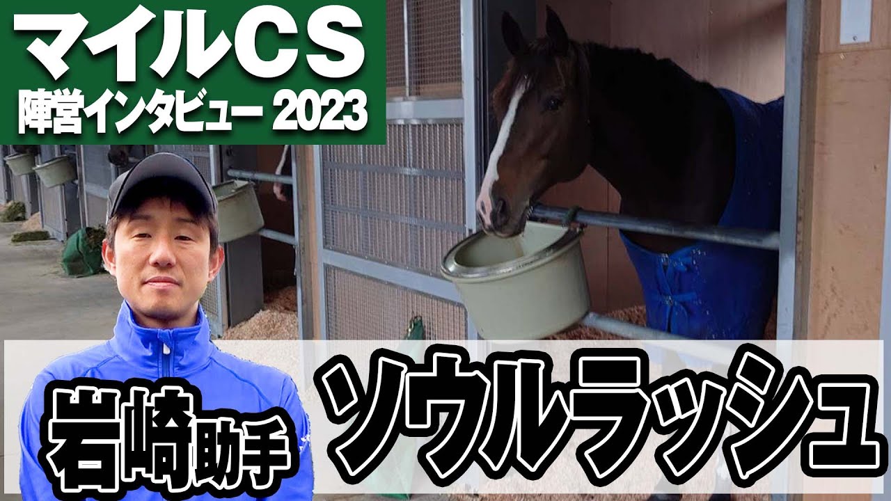 【マイルCS2023】ソウルラッシュ・岩崎助手「完成の域に近い」「香港へ胸を張って行けるように」