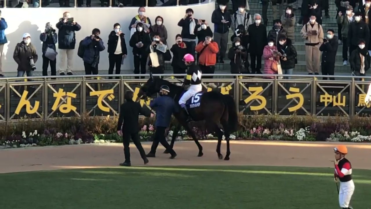 20211228_ホープフルステークス_パドック_アスクワイルドモア