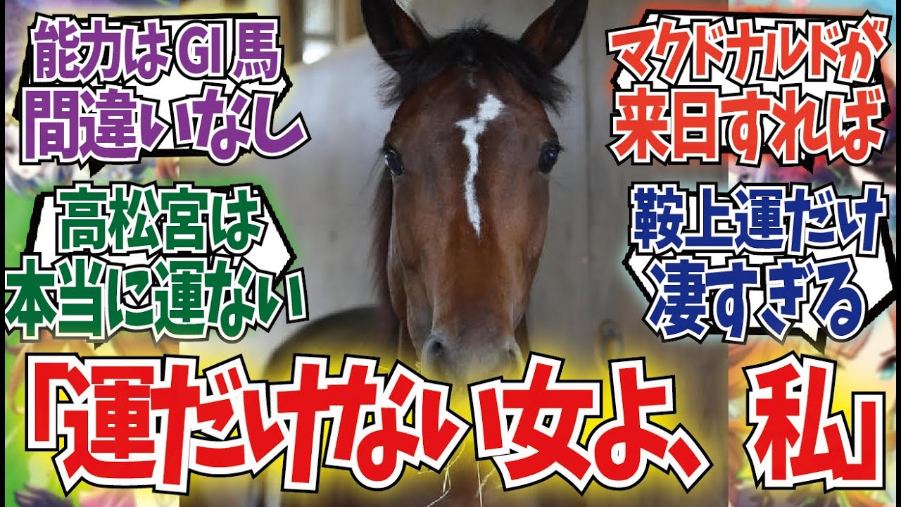 「メイケイエールの三大不運は…」に対するみんなの反応集