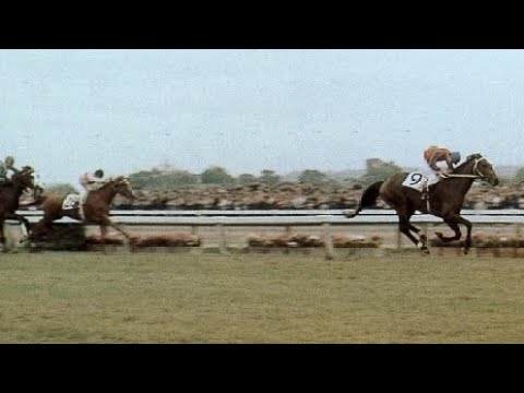 第３３回　東京優駿（日本ダービー）　テイトオー　牡３　57　清水久雄　1966.5.29　　出走馬：ソロモン、ナスノコトブキ、ダイニセエチヨウ、ヤマニリユウ、カツラクラウ、シバハヤ、スピードシンボリ他
