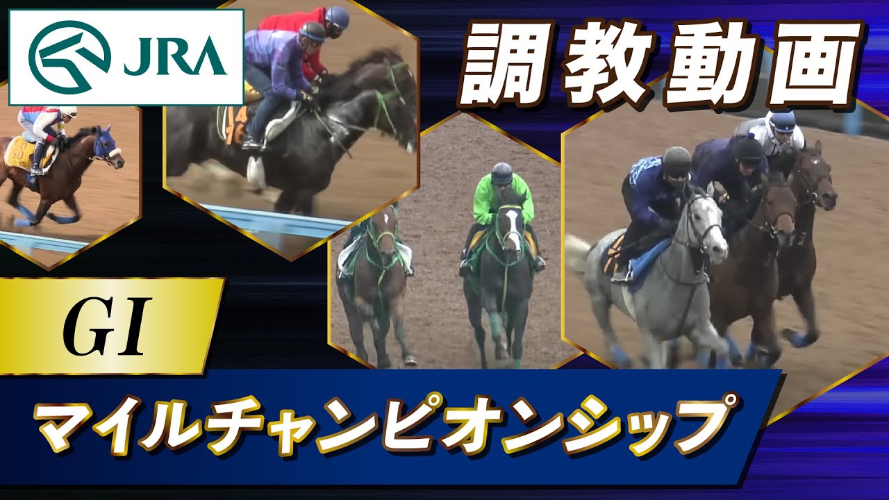 【調教動画】2023年 マイルチャンピオンシップ｜JRA公式